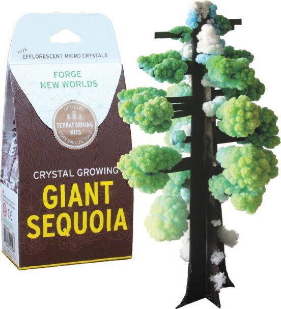 Crystal Growing Giant Sequoia