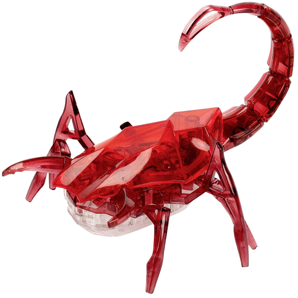 Scorpion HEXBUG The Great Rocky Mountain Toy Company