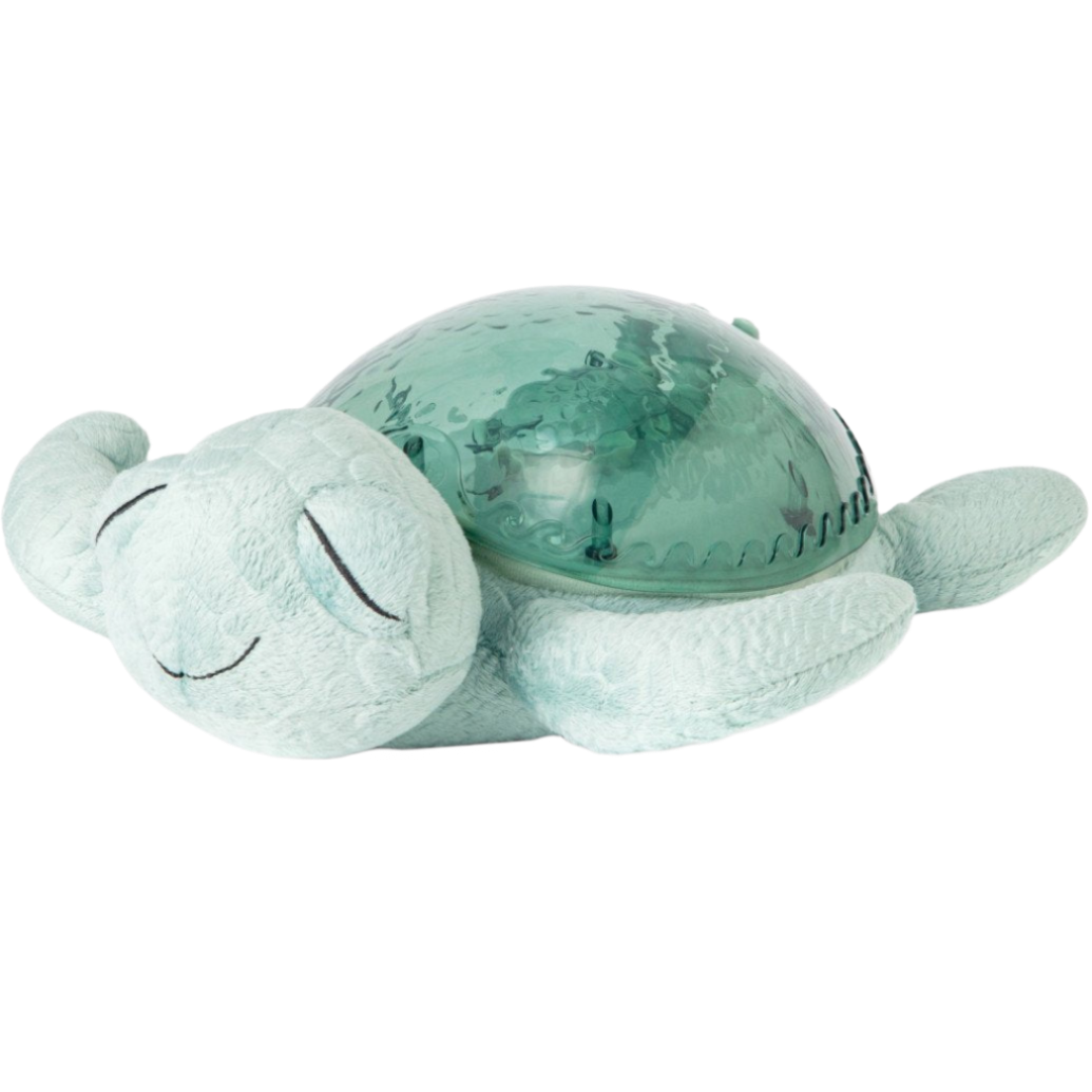 PJM Tranquil Turtle Green -Rechargeable – The Great Rocky Mountain Toy ...